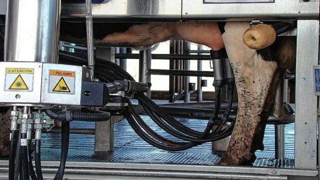 Sorpresivo cierre de una fábrica de ordeñadoras en El Trébol