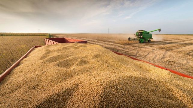 Retenciones. La soja es el producto que más derechos de exportación paga.