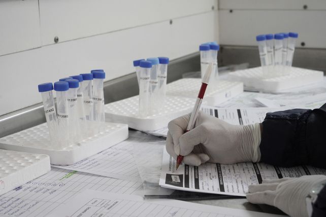 Coronavirus: informaron 417 muertos y 22.651 nuevos casos en la últimas 24 horas en Argentina