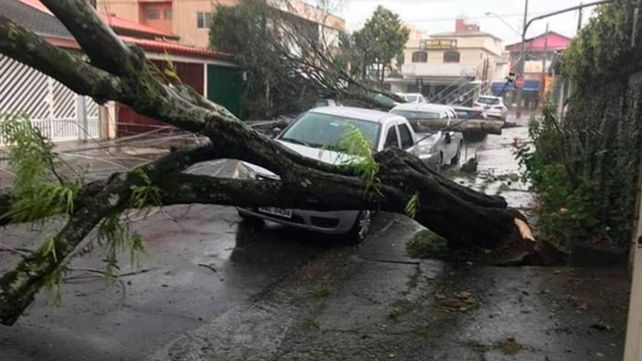 VIDEO: Impresionante granizada en Uruguayana