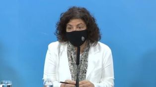 Vizzotti dijo que deben venir tres millones de vacunas chinas pero no sabe cuándo