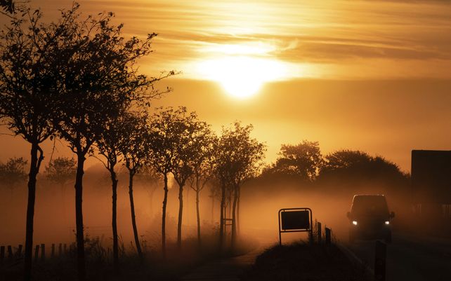 Un automóvil circula por una carretera rural en la niebla durante el amanecer en Tating, Alemania, el jueves 7 de octubre de 2021.