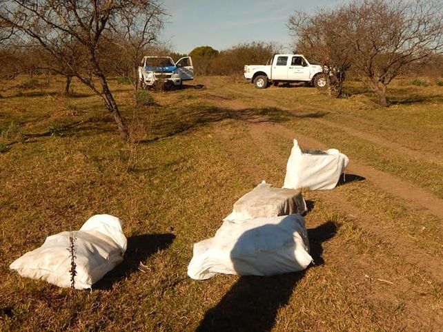 Descubrieron que un avión arrojaba bultos con marihuana a un campo cerca de Concordia