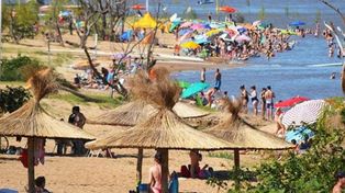 Recomendaciones ante cardúmenes de dorados que llegan a las playas