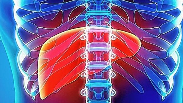 El Día Mundial contra las Hepatitis virósicas es para concientizar y prevenir