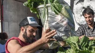 Por preventa telefónica, ya funciona el Mercado de Consumo santafesino