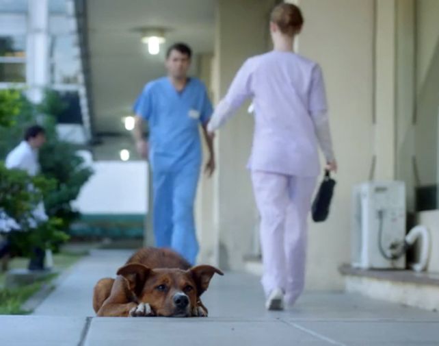El hombre y el perro es el título del spot.