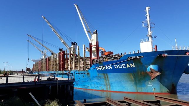 En el puerto de Ibicuy cargan 34.000 toneladas de madera de pino para exportar a China