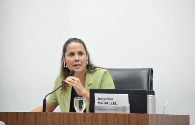 Ola de calor y falta de agua: Jorgelina Mudallel reclama asistencia urgente para los barrios