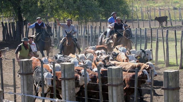 El turismo rural, una de las opciones para vacacionar en Entre Ríos