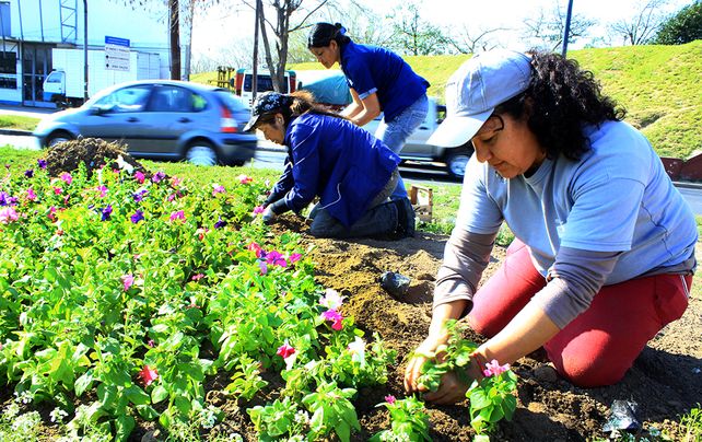 Con canteros bien coloridos, la ciudad de prepara para recibir la primavera
