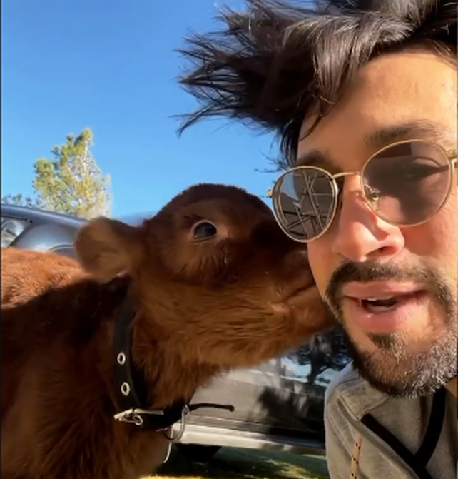 ¿Qué pasa con María? La pícara respuesta de un agroinfluencer a famosa cantante