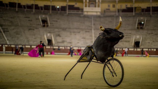 Un simulador de toro (cuernos unidos a un armazón de metal con ruedas) posa sobre el ruedo, mientras los alumnos practican en la Escuela Taurina de la Plaza de Toros de Las Ventas en Madrid, España.