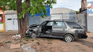 Manejaba el auto ebrio y se le atravesó un árbol