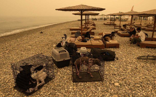 Personas y mascotas se reúnen en la playa durante el incendio forestal que castiga a la aldea de Pefki en la isla de Evia, a unos 189 kilómetros al norte de Atenas, Grecia. Bomberos y residentes lucharon contra el incendio forestal masivo, el segundo más grande de Grecia.