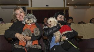 The First Film Festival For Dogs In South America Was Held At Escobar.