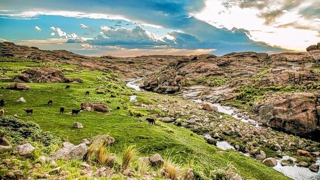 Córdoba habilitará el turismo sin hisopados ni cuarentena
