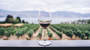 Cada 24 de noviembre se celebra el Día Nacional del Vino, considerada la bebida nacional.&nbsp;