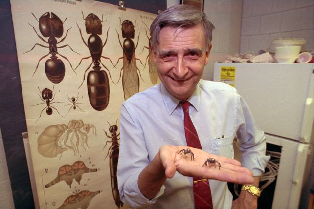 A los 92 años falleció el biólogo considerado el heredero natural de Darwin