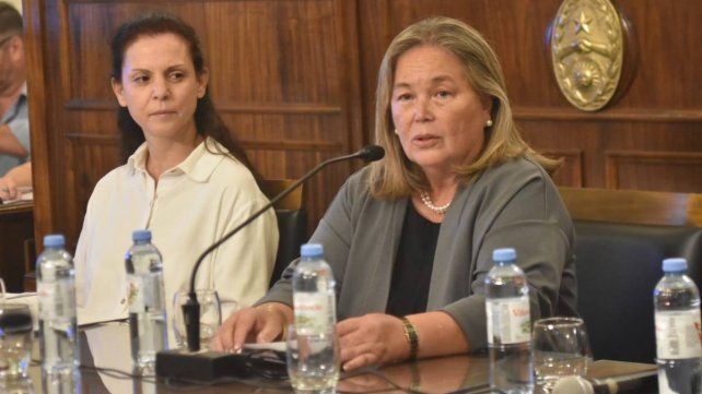 La jueza del STJ Susana Medina enfrenta dos pedidos de juicio político.