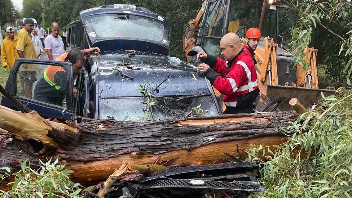 Temporal en Funes y Roldán con árboles caídos, voladuras de techo y un ...