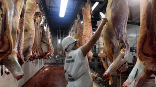 En julio la faena cayó 2% en términos interanuales, según el Consorcio ABC.