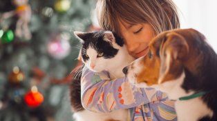 Día del Animal en Paraná: actividades para el cuidado responsable