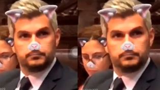 Una diputada K le ponía filtros de gato a Peña durante su informe
