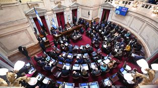 El Senado seguía en plena deliberación este jueves. La ley Bases se discutía punto por punto.&nbsp;