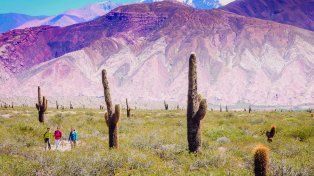 Salta en otoño: paisajes, calma y experiencias para recorrer sin apuro