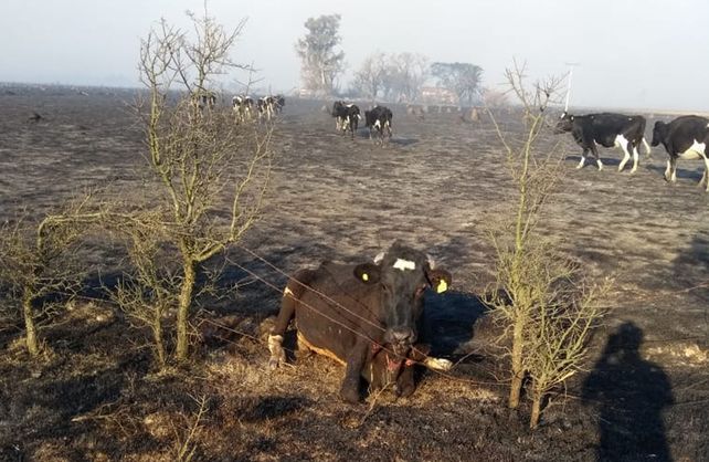 Im&aacute;genes del incendio en Bella Italia.