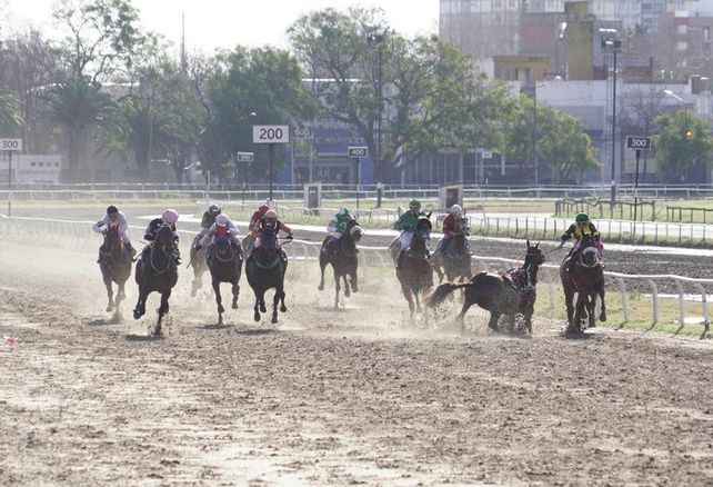 La imagen del día en el Hipódromo Independencia, cuando Engreído Cat se topa con el resto.