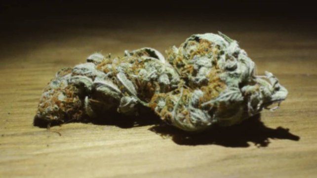 Concepción del Uruguay: tres años de prisión condicional para los dueños de un grow shop