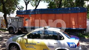 La Policía de Seguridad Vial secuestró un camión, animales y un arma en operativos