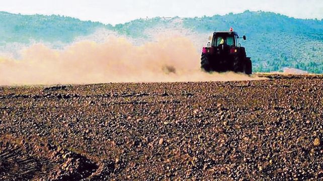 En 10 años se presentaron 14 proyectos para cambiar la ley de arrendamientos.