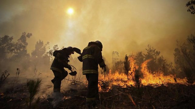 Las imágenes más estremecedoras de los incendios forestales en Chile