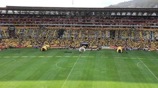 El estadio donde juega Barcelona de Ecuador tiene una capacidad para 60.000 hinchas.