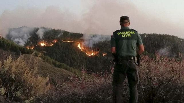 Desastre. El fuego avanza hacia el autóctono pinar de Tamadaba.