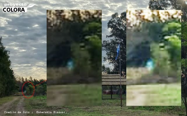 Reconquista. La fotografía fue tomada el martes 13 de julio a las 17:30 en la huerta de Estafanía Biasoni.