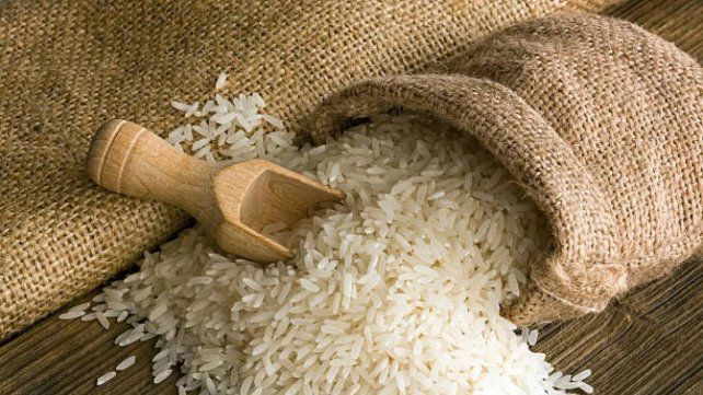 Menos arroz en Entre Ríos: baja la siembra y predomina el riego por pozos.