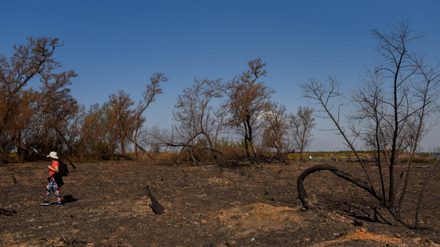 La diversidad de los humedales frente a Villa Constitución quedaron reducidos a una mezcla de tierra desgranada y cenizas.