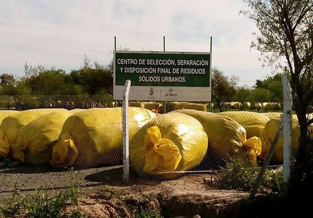 Los “bombones”. Las bolsas con basura desparramadas en un sector del predio
