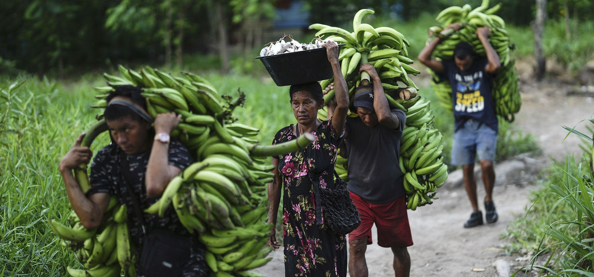 Un grupo de hombres y una mujer transportan plátanos y pescado desde el puerto en Leticia, Colombia, el lunes 21 de octubre de 2024. (Foto AP/Ivan Valencia) Un grupo de hombres y una mujer transportan plátanos y pescado desde el puerto en Leticia, Colombia, el lunes 21 de octubre de 2024. (Foto AP/Ivan Valencia)