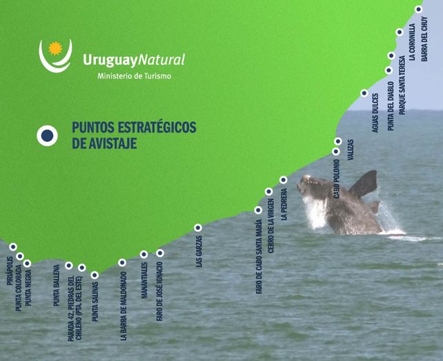 Uruguay: arte y naturaleza en la Ruta de la Ballena Franca