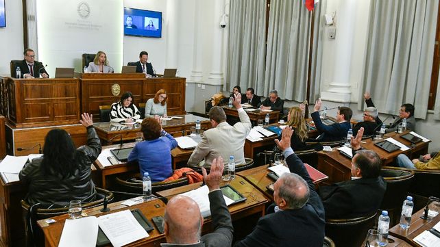 Se remarcó en el Senado el objetivo de velar por la supervisión de los derechos de la niñez y adolescencia y supervisar programas