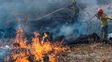 Brigadas entrerrianas asisten en el combate de incendios en la zona del Delta
