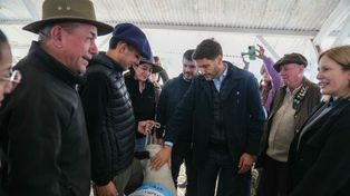 Las exposiciones rurales de Santa Fe se lucen en agosto