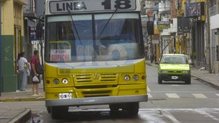 Se debería proteger a 25 colectivos