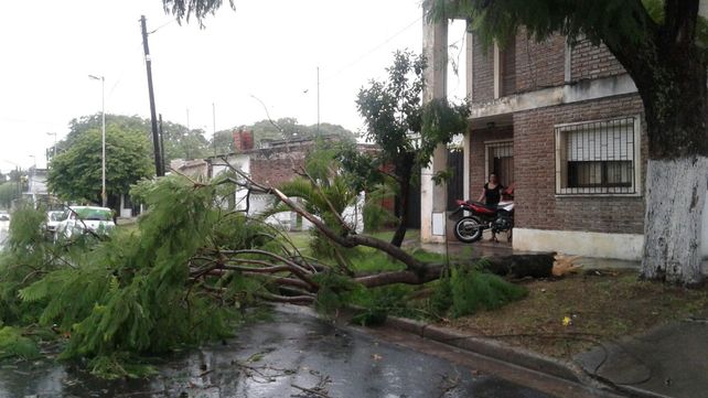 Impacto. En calle Casiano Calderón