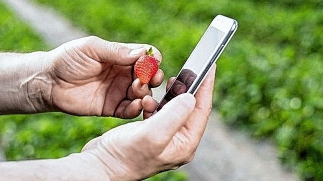 Proyecto. Diseño e implementación de una plataforma robótica autónoma para eliminar microorganismos de cultivos de frutillas utilizando luz ultravioleta